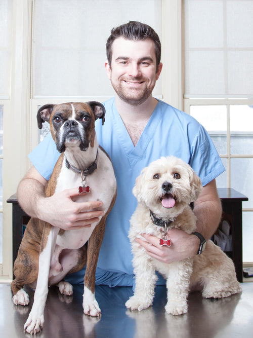 Dr. Brendon Laing