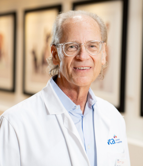Dr. Todd Tams